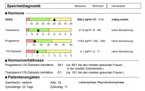 Eine Auswertung eines Hormonspeicheltests, die für die Gemeinschaftspraxis Gerber erstellt wurde. Er zeigt die Werte für DHEA, Testosteron, Progesteron und Östradiol. Das Bild wird auf der Seite über Burnout verwendet.