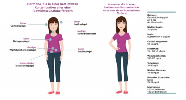 Gewichtszunahme Durch Alkohol Bei Frauen hormontherapie-bioidentisch.de